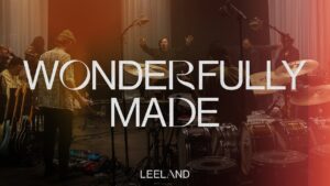 Wonderfully Made by Leeland Mp3 download with Lyrics